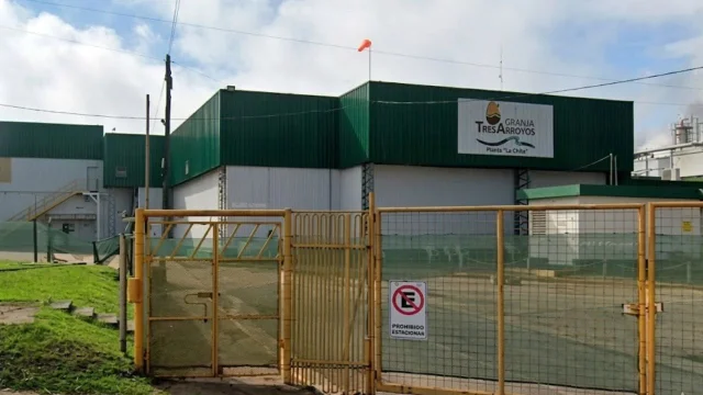 Entre Ríos ordenó frenar 270 despidos pero Granja Tres Arroyos mantiene sin actividad su planta clave