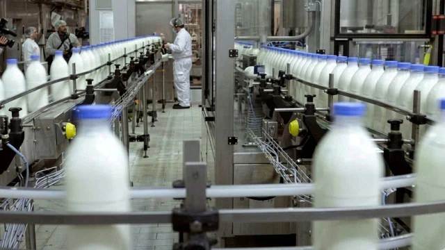Histórica planta láctea vuelve a producir tras salir de la quiebra: qué productos fabricará