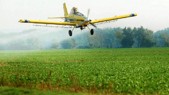 Se enferman nuestros hijos: fallo contra empresa de Eurnekian por fumigaciones descontroladas sobre una comunidad