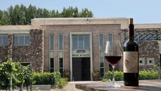 Histórica bodega mendocina comenzó a despedir empleados y tiene más de $1.600 millones en cheques rechazados