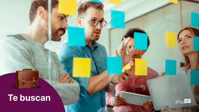 Te contratan si cumplís con estos requisitos: Gigante tech abre más de 300 vacantes en el país