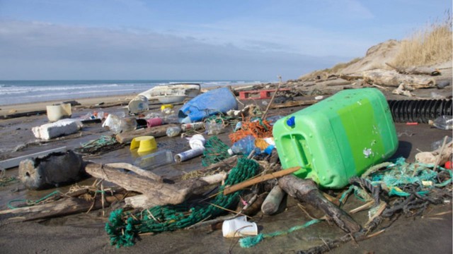 Más del 70 por ciento de los residuos de las playas bonaerenses son plásticos