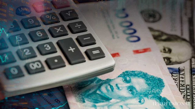 La opción clave de ANSES para quienes no llegan a los 30 años de aportes y quieren jubilarse