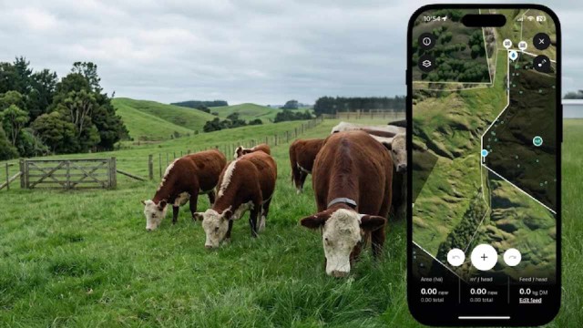 Chau alambrados: startup revoluciona el campo con cercas virtuales y manejo de vacas por celular