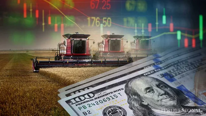 Citi y UBS anticipan más cosecha y dólares para Argentina por El Niño