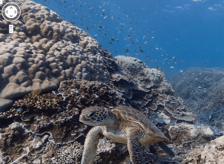 Google Maps explora los fondos marinos más exóticos del mundo