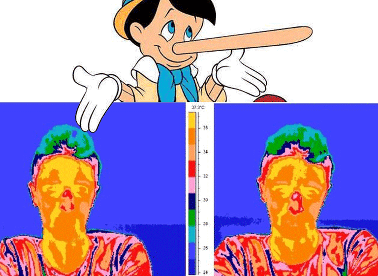 ¿La nariz de Pinocho? Aseguran que esta parte del cuerpo revela cuándo mentimos
