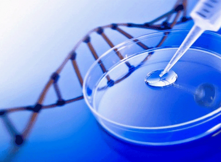 El ADN podrí­a ser patentado si así­ lo decide la Justicia de Estados Unidos
