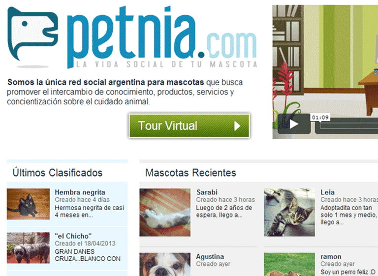 Ahora las mascotas también tienen su red social: llega una propuesta para fanáticos de los animales