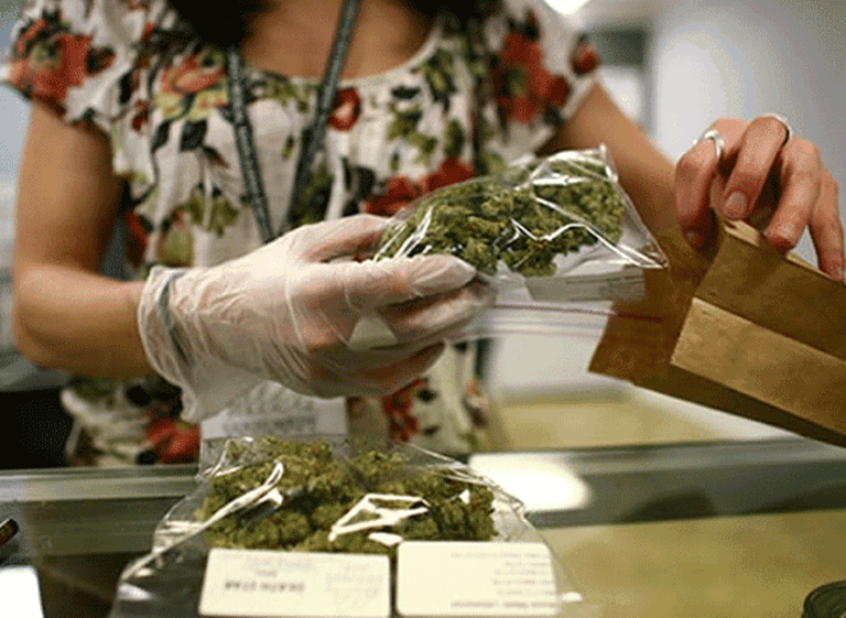 En Uruguay se podrán comprar 40 gramos de marihuana al mes en farmacias