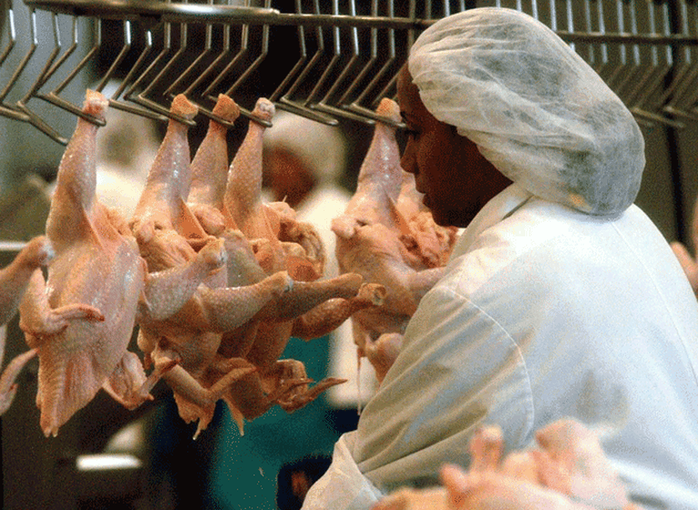 Fuerte preocupación del sector aví­cola argentino por la importación de pollos de Brasil