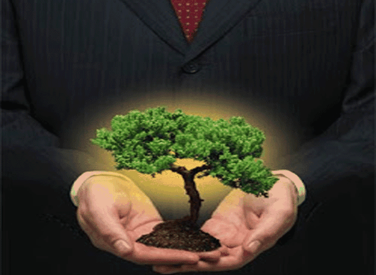 Las marcas se pelean por ser las más sustentables: ¿cuáles son las más "verdes" del mundo?