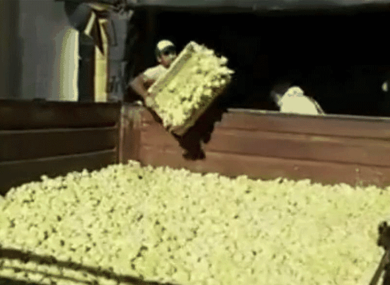 Cresta Roja: se movilizaron por despidos y piden una solución antes del martes