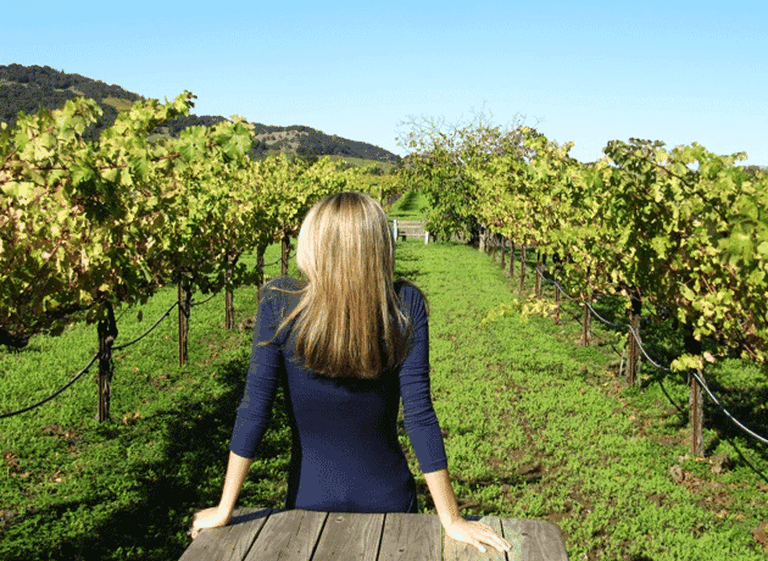 Rubro complicado: cada año cierran unas 8 bodegas en el paí­s