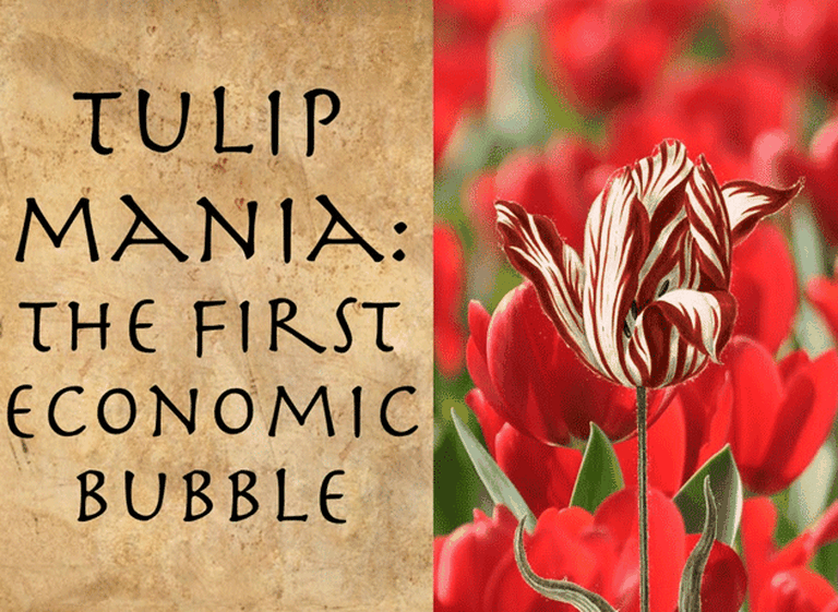 Cómo fue la "crisis de los tulipanes", la primera gran burbuja financiera de la historia mundial