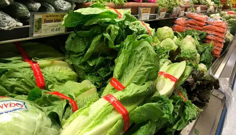 Por qué Estados Unidos y Canadá piden no comer lechuga