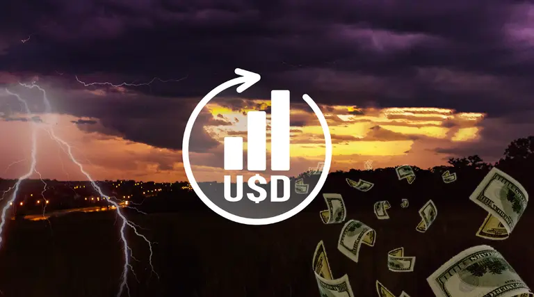 Por la crisis, más argentinos la ven como la única opción de ahorro e inversión