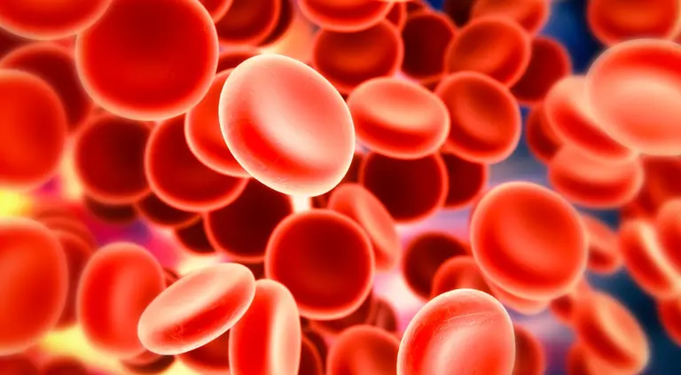 1 de cada 4 personas muere por trombosis: qué es y cómo prevenir esta patología