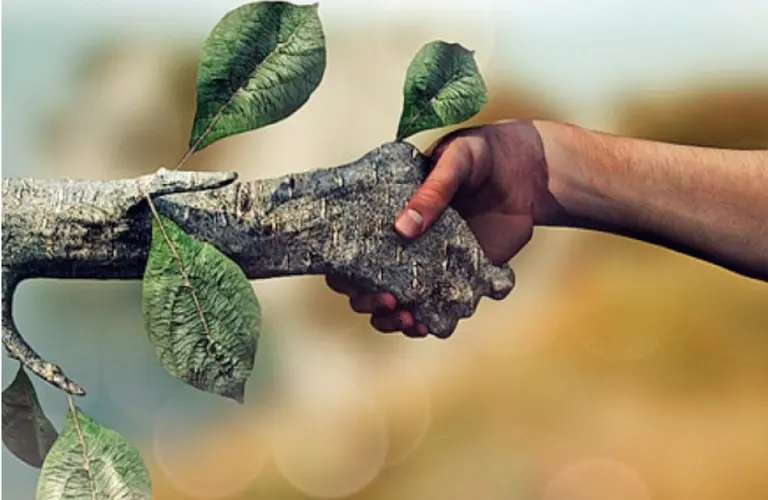 Econer, el invento para generar energías renovables que rompió con las estructuras y es más accesible