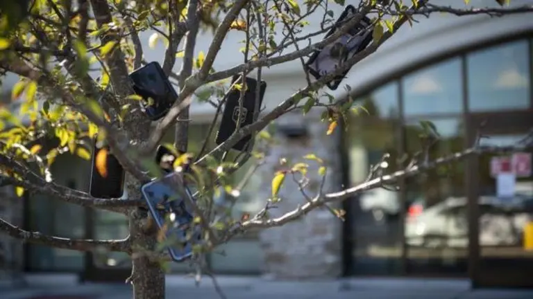 Los repartidores de Amazon ahora cuelgan sus celulares en los árboles: ¿broma o efecto de la crisis?