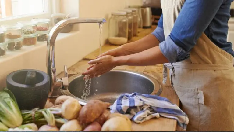 ¿Lavás los alimentos?: nunca enjuagues estos 6 alimentos