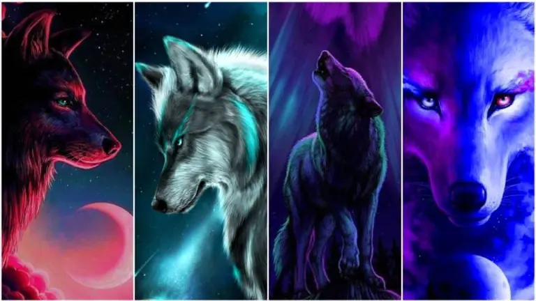 Test: elegí el lobo que más te representa y conocé cómo te ven los demás