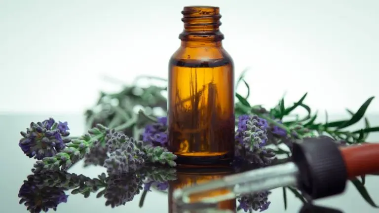 Flores de Bach: quién las inventó, cómo se usan y qué enfermedades curan