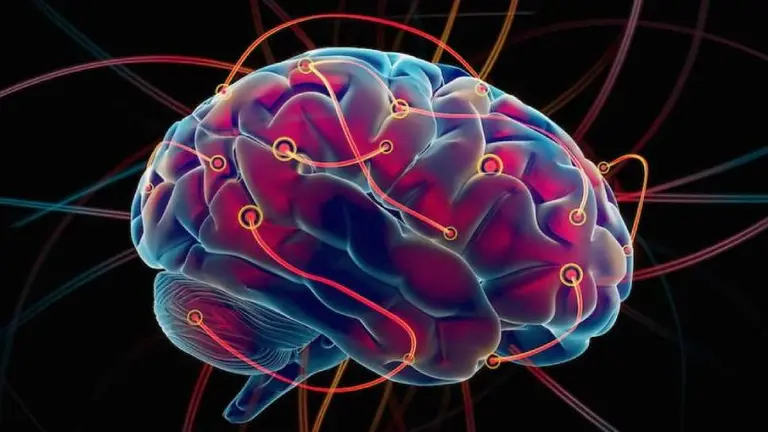 Inteligencias múltiples: qué dice la teoría de Howard Gardner y cuál es tu tipo