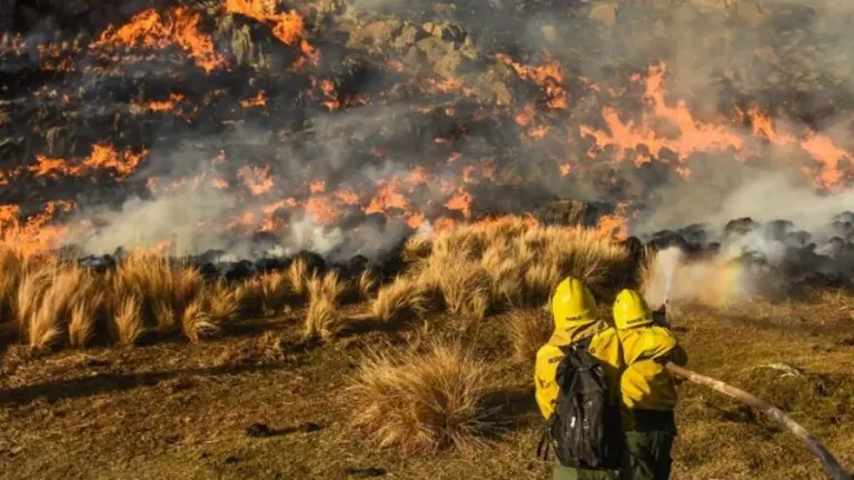 Los productores afectados por los incendios serán asistidos con créditos del Gobierno Nacional