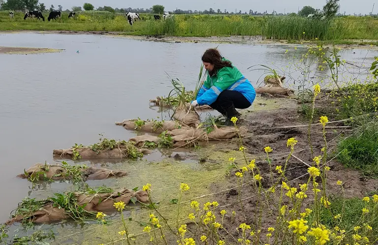 La nueva estrategia del Gobierno sobre biodiversidad