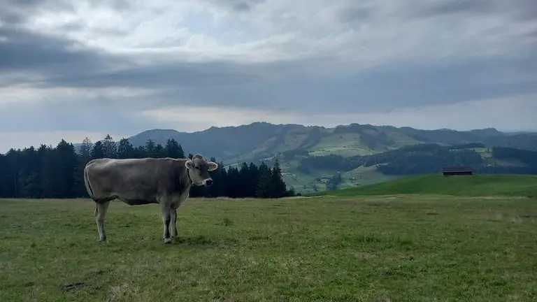 Acceso a la naturaleza vs. propiedad privada: el curioso caso de un país europeo y qué normas rigen en Argentina