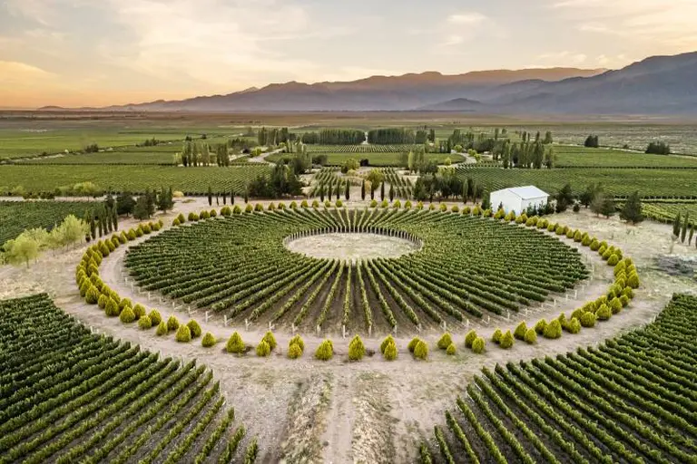 Vinos con identidad de terroir: Cadus renovó su imagen y lanzó nuevas etiquetas