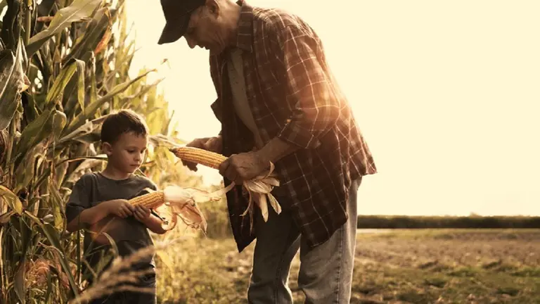 La agricultura regenerativa, clave en la solución ante el cambio climático