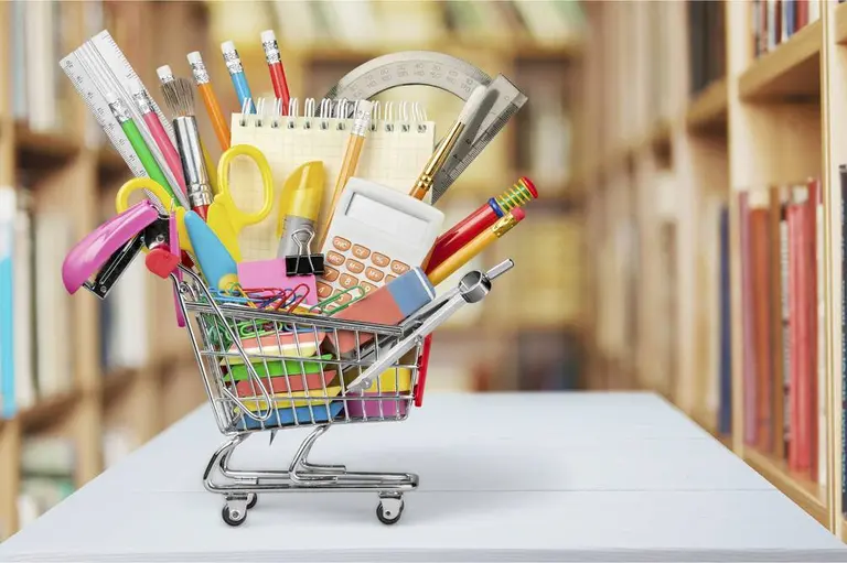 canasta escolar