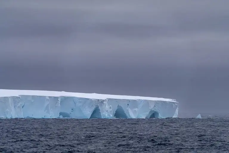 El iceberg más grande del mundo se desprendió: ¿qué consecuencias trae para el planeta?
