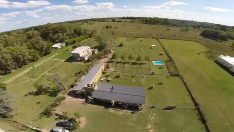 El paraíso de las mascotas: así es el hotel 5 estrellas para perros que funciona en Del Viso