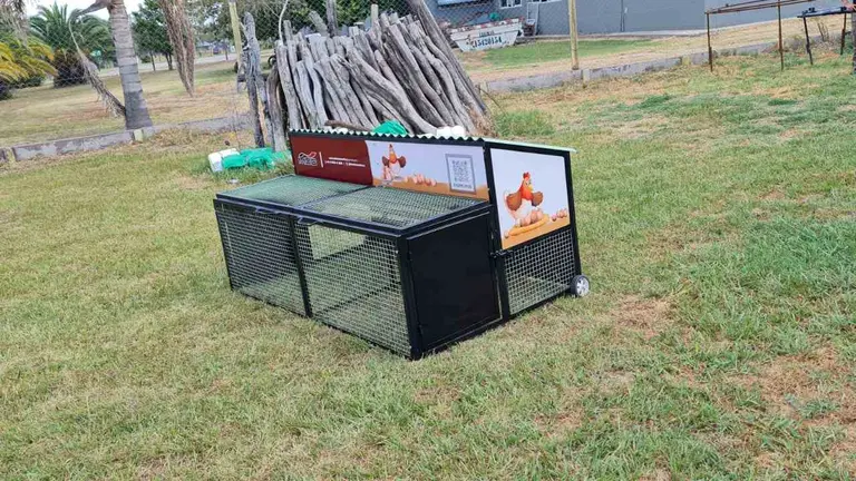 Una pyme bonaerense inventó un gallinero móvil para uso hogareño y es furor en todo el país