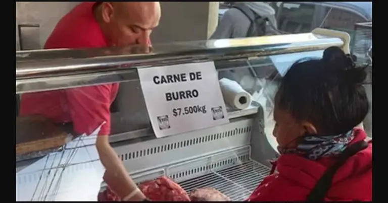 Chubut: la polémica iniciativa en una carnicería que se agotó en tiempo récord