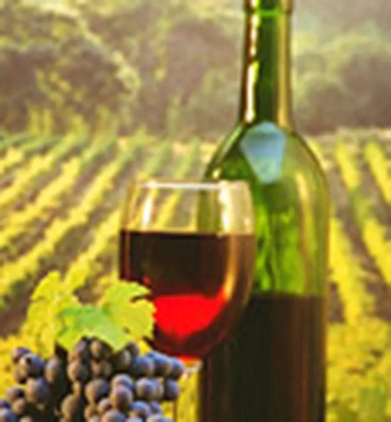 Grupo Peñaflor logra un préstamo internacional por u$s45 M