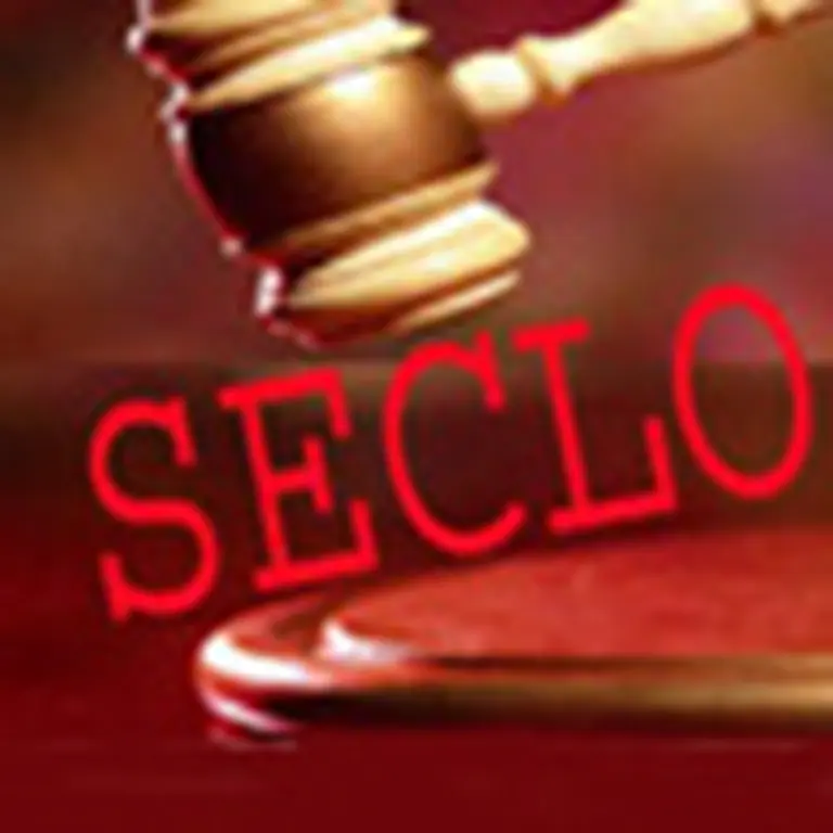 SECLO: el 42% de los reclamos laborales fueron homologados