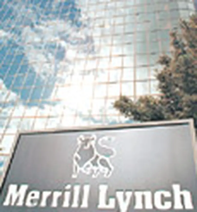 Merrill Lynch cerró el 2006 con beneficio récord de u$s7.500 M