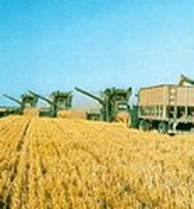 Se publicaron los nuevos precios del trigo, maí­z, girasol y soja