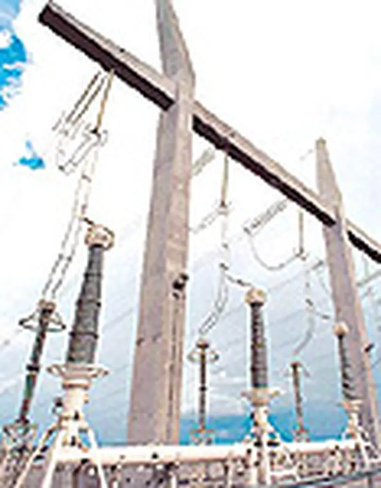 El Gobierno ratifica que Eton no puede comprar Transener