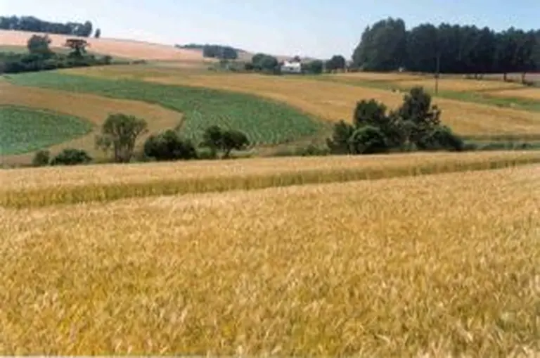 Crece la compra de campos por parte de extranjeros