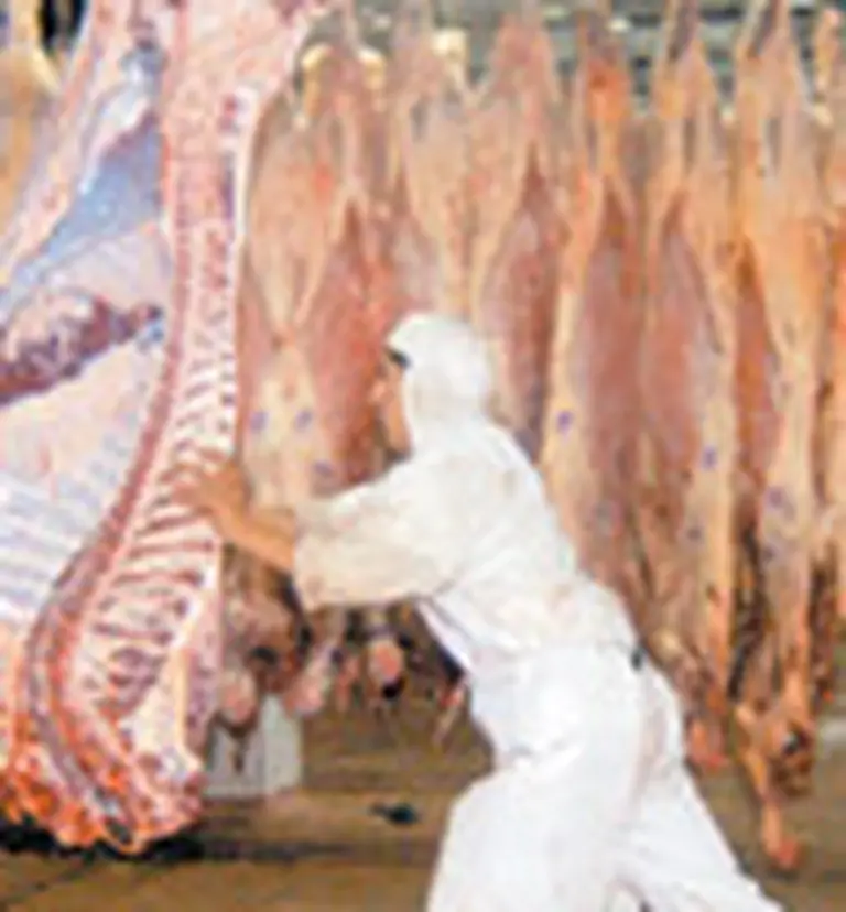 Swift invierte u$s100 millones en dos nuevas fábricas