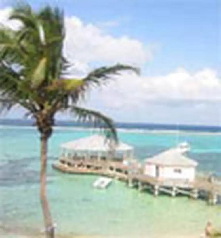 Expertos revelan la í­ntima relación entre fraudes y paraí­sos fiscales