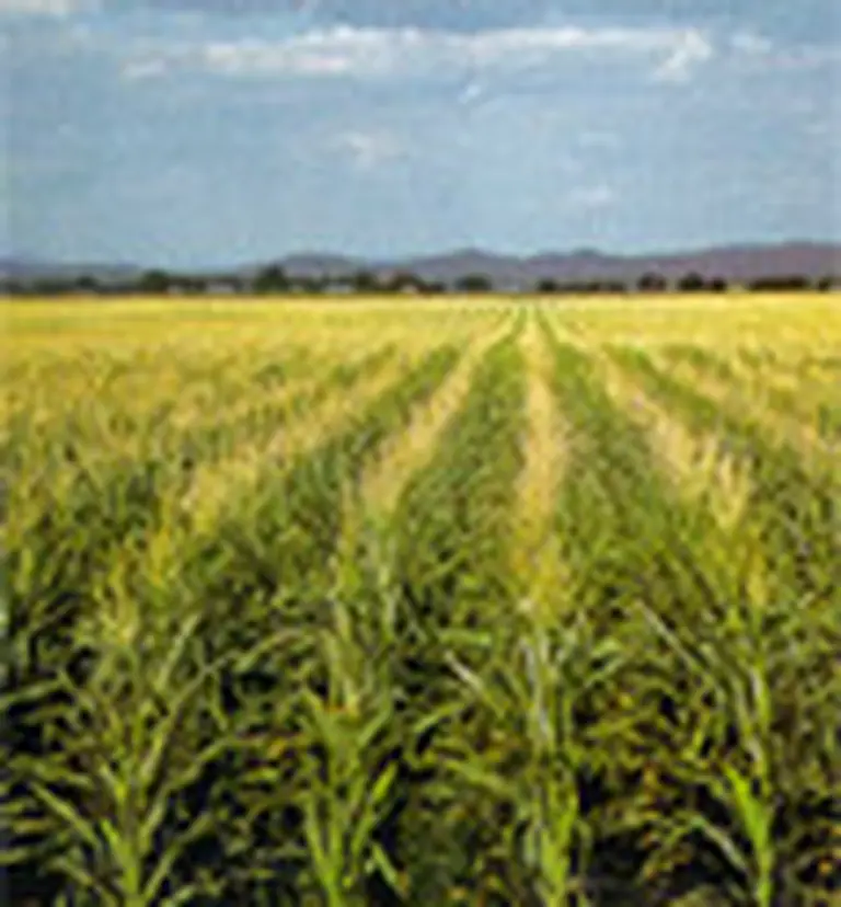 El 65% de las retenciones por exportaciones proviene del agro