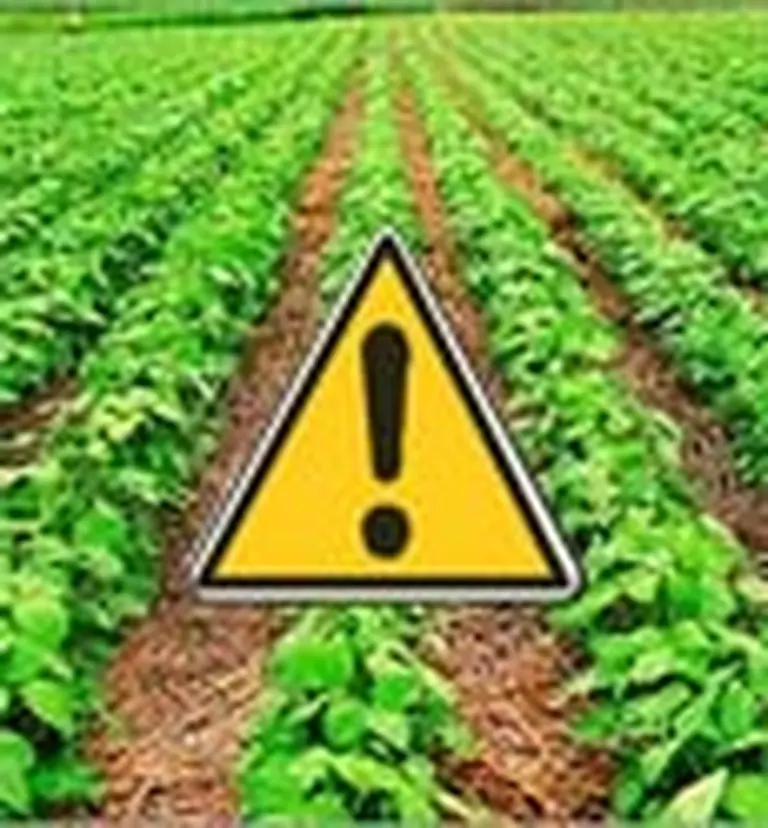 En Europa no descartan bloquear importaciones de soja argentina