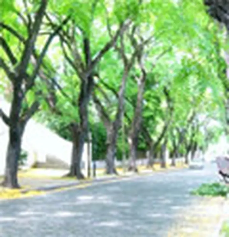 Vuelve el programa ecológico San Isidro Recicla