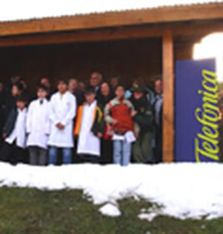 Telefónica propuso WiFi gratis por el dí­a internacional de internet